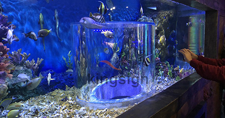Wuxi Ocean yeraltı akvarium layihəsi.