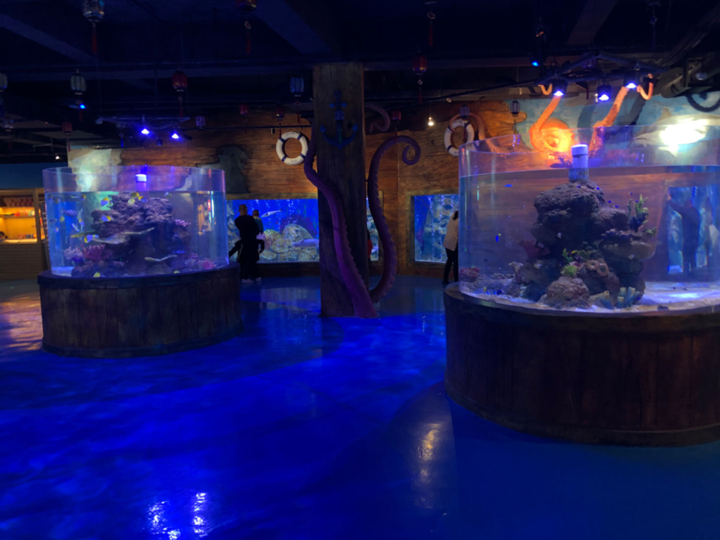 Akril Balıq Tank Həyatı Dəstək Sisteminin tətbiqi